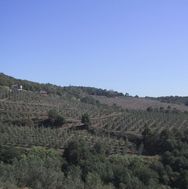 Toscana 2003-09-18 11-40-09