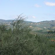 Toscana 2005-09-22 10-30-41
