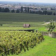 Bourgogne 2011-08-28 12-55-36