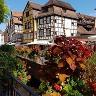Alsace 2016-08-28 13-13-30