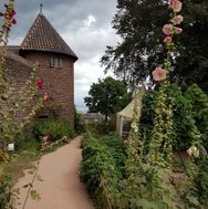 Alsace 2016-08-29 13-58-54