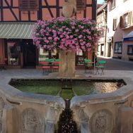 Alsace 2016-08-30 15-21-19