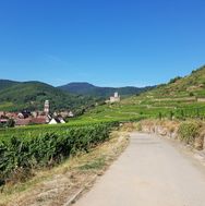 Alsace 2016-08-31 11-13-24