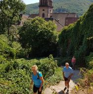 Alsace 2016-08-31 13-50-01