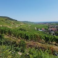 Alsace 2016-08-31 13-54-23