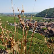 Alsace 2016-08-31 14-05-15