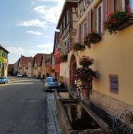 Alsace 2016-09-01 10-18-17