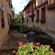 Alsace 2016-09-01 12-04-22