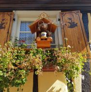 Alsace 2016-09-02 11-19-05_1